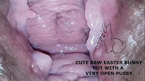 XXX Cute bbw bunny, but with a very open pussy คลิปวิดีโอ