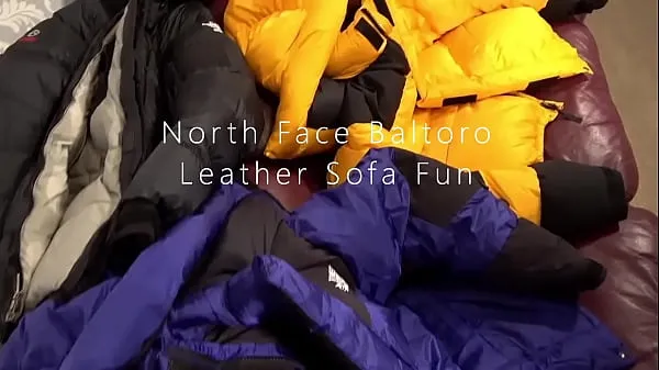 TNF Humping on Leather Sofa